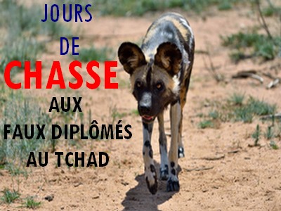 Audit des diplômes au Tchad: de la poudre aux yeux en faisant semblant de lutter contre une fraude massive et miroiter une bonne gouvernance fantôme